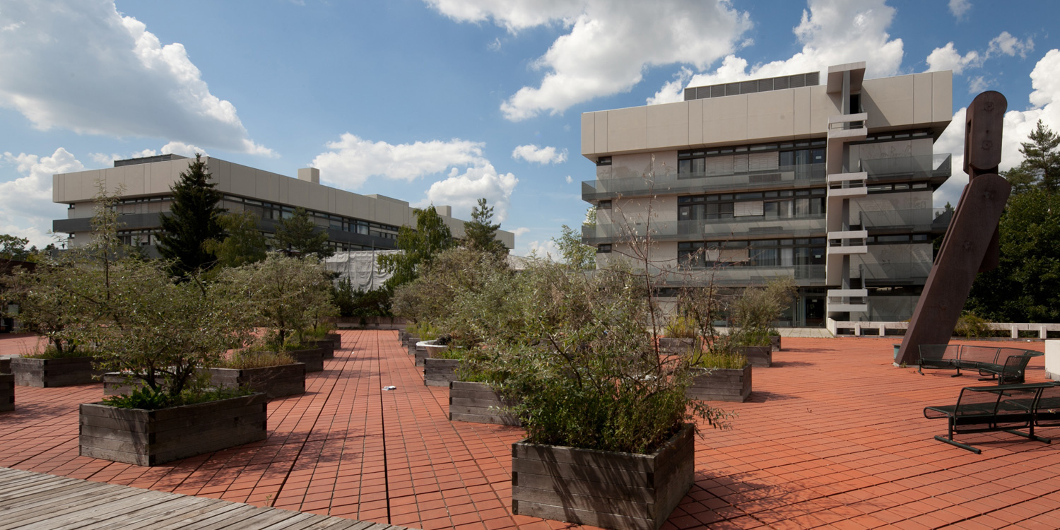 Campus Roter Platz mit Blick auf die Gebäude der anorganischen und physikalischen Chemie