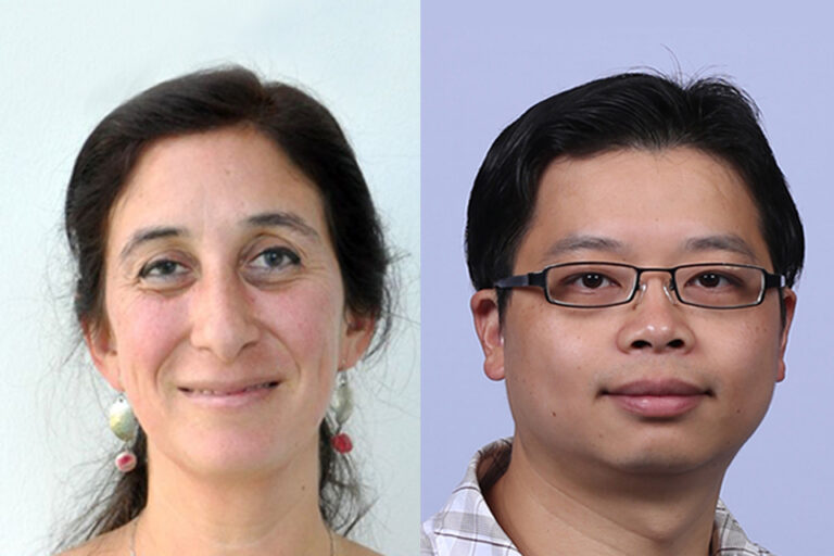 Neue Humboldt-Stipendiaten an der TF: Von Prothesen und Strömungen