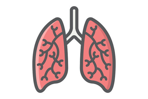 Bild einer Lunge