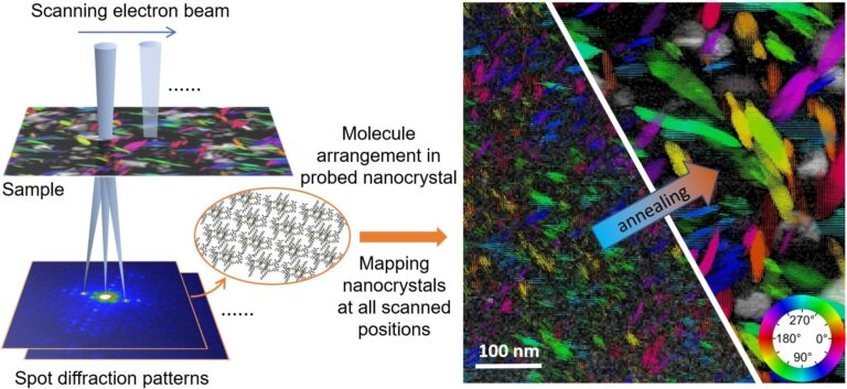 Growth of organic nanocrystals revealed