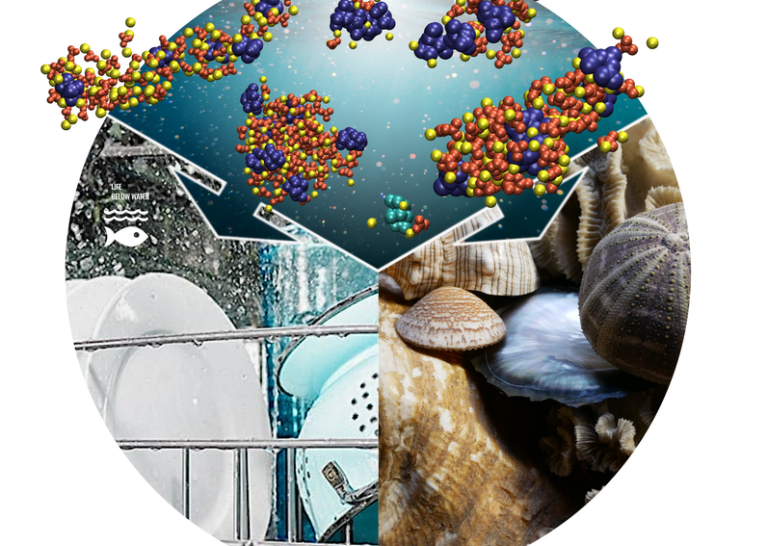 Kalkprobleme mit Unordnung lösen